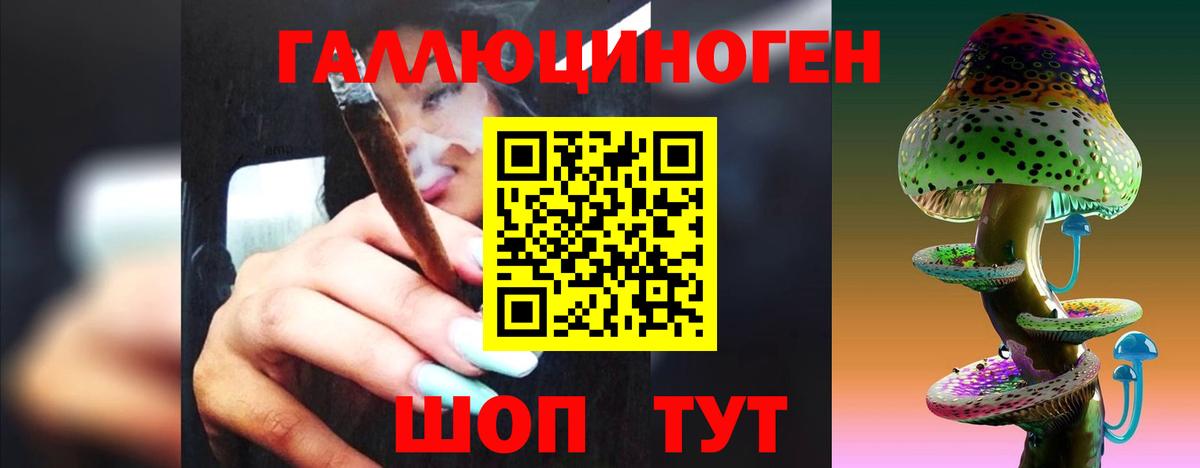 Псилоцибиновые грибы MAGIC MUSHROOMS  Вход с VPN  где купить наркоту  Аргун 