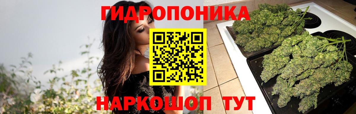 Бошки марихуана Bruce Banner  Вход с VPN  Аргун  Бошки марихуана марихуана  Канабис MAZAR 